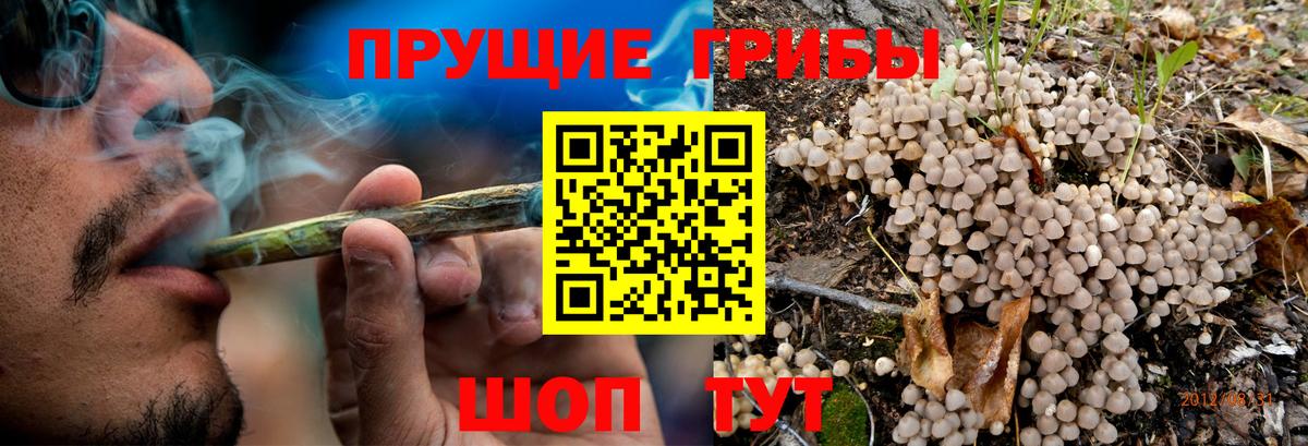 Галлюциногенные грибы ЛСД Арзамас